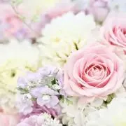 mel shop 【ただいまセール中！】の画像