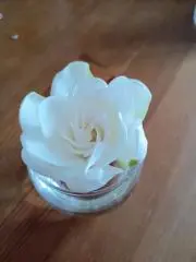 ネロリの画像