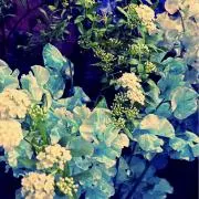 Fashion flowerの画像