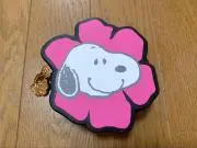 きぃちゃん