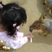 あい@