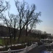 みらくるの画像