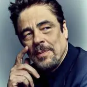 ベニチオ・デル・トンコンの画像