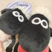 Rの画像
