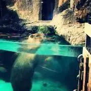 周(プロフ必読)の画像