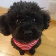 しいな