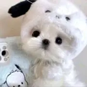 My♡の画像