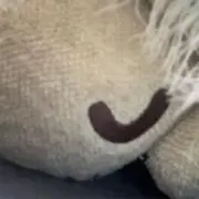 ケバブ