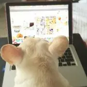 プロフィールを読んでからご購入の画像