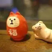 aoiの画像