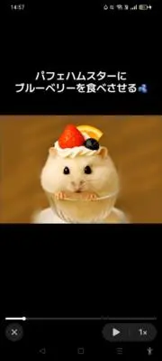 ぽむ☆プロフ必読の画像