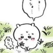 TYの画像
