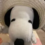 ピピちゃんの画像