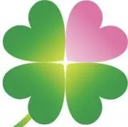 Clover24**の画像