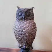 レトロンの画像
