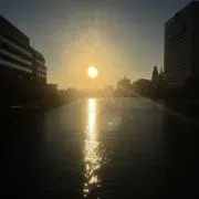 smnの画像