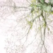 KJの画像