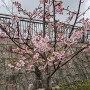 LaLaLaLaの画像
