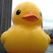 waonの画像