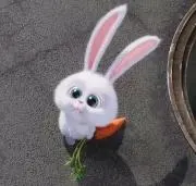ゆづさと