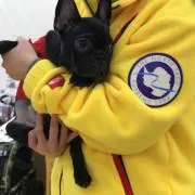 サク