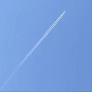 めぃの画像