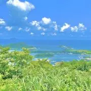 kitiの画像