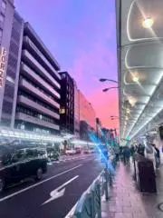 STELLAの画像