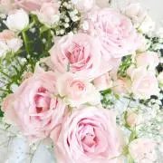 mommy♡クローゼット整理中♪の画像