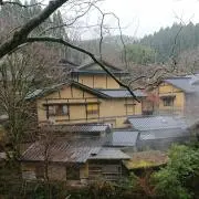 ばんぶーの画像