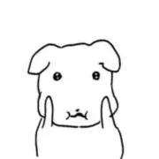 ポポの画像