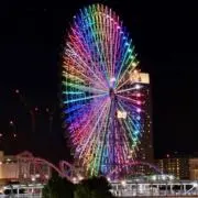 まっしぐらの画像