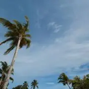 マグマミニの画像