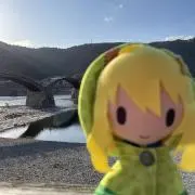 きゃみの画像
