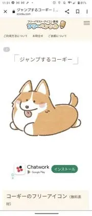 くーちゃんの画像