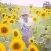 在庫処理セール❣️