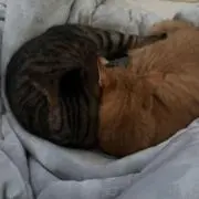 ちぃの画像