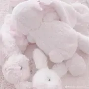toroの画像