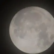 ヤス