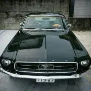 67stang