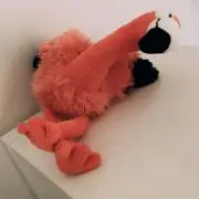 Ryo Iijimaの画像