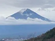 こぎんちの画像