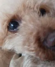 ルビー★プロフ必読★の画像