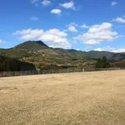chaaakoの画像