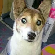 くう