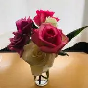 まあさ⭐︎購入前プロフ必読のお願い