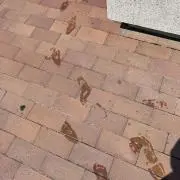 ちび☺︎の画像