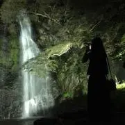 ともしゃの画像