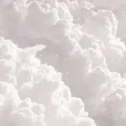 Yの画像