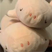 BuBuの画像